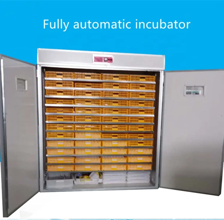 Factory price Solar Incubator Egg  Prices In Egypt