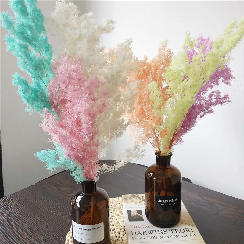 Real Preserved us Asparagus Myrioelad Dried Flower Bouquets For Home Decoration