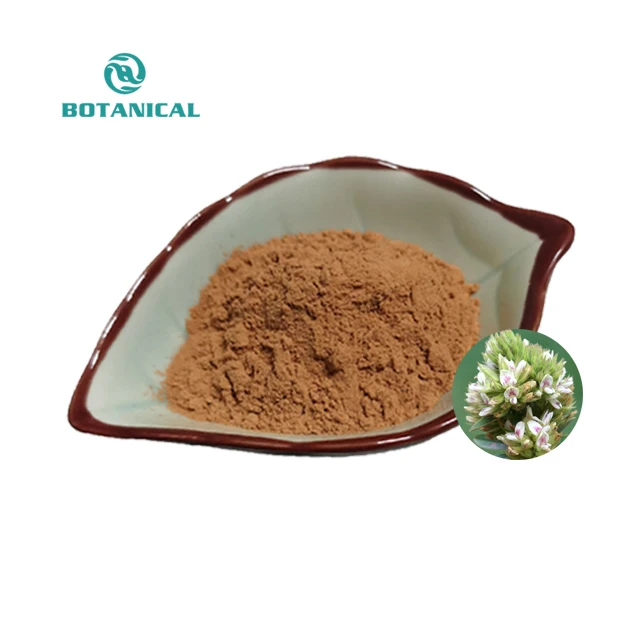 Hot Selling Healthy Flavon Powder 10:1 Pure Lespedeza Capitata Extract