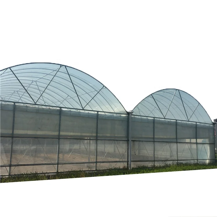 Polycarbonate Greenhouses with Agriculture Equipment and Tools for Agricultural Crops planting