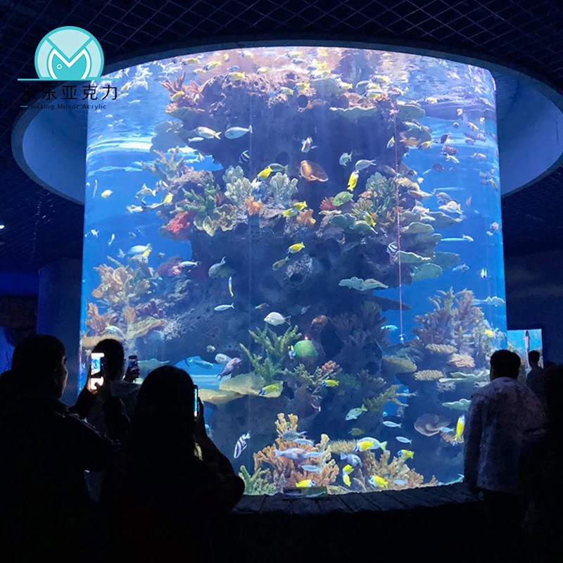 Wholesale cheap custom hot sale modern big aquarium toilet fighter fish aquarium tank