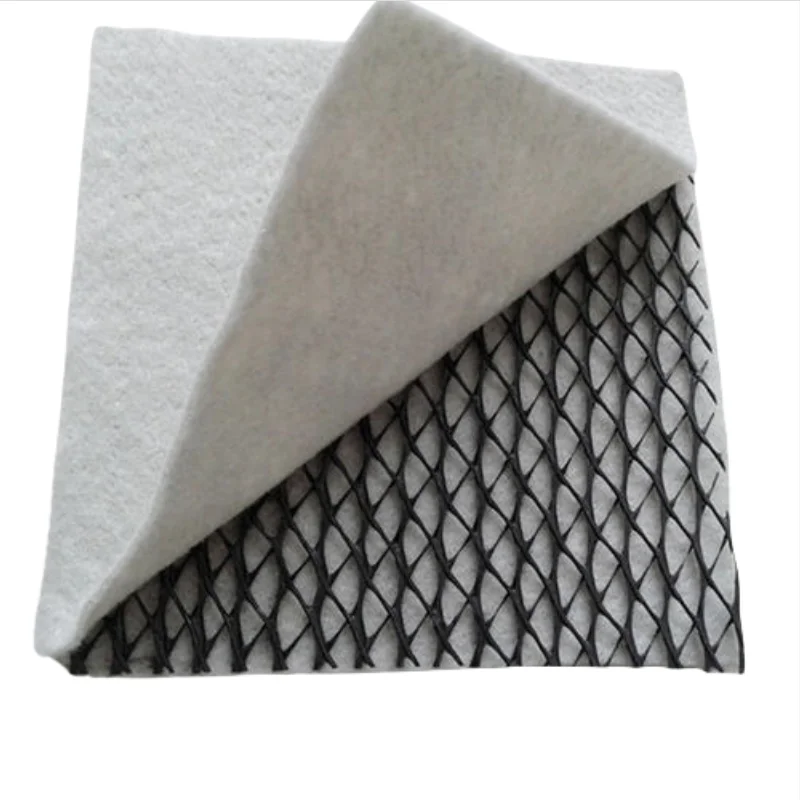 3D Composite Drainage Composite Geo net geonet for landfill & roadbed