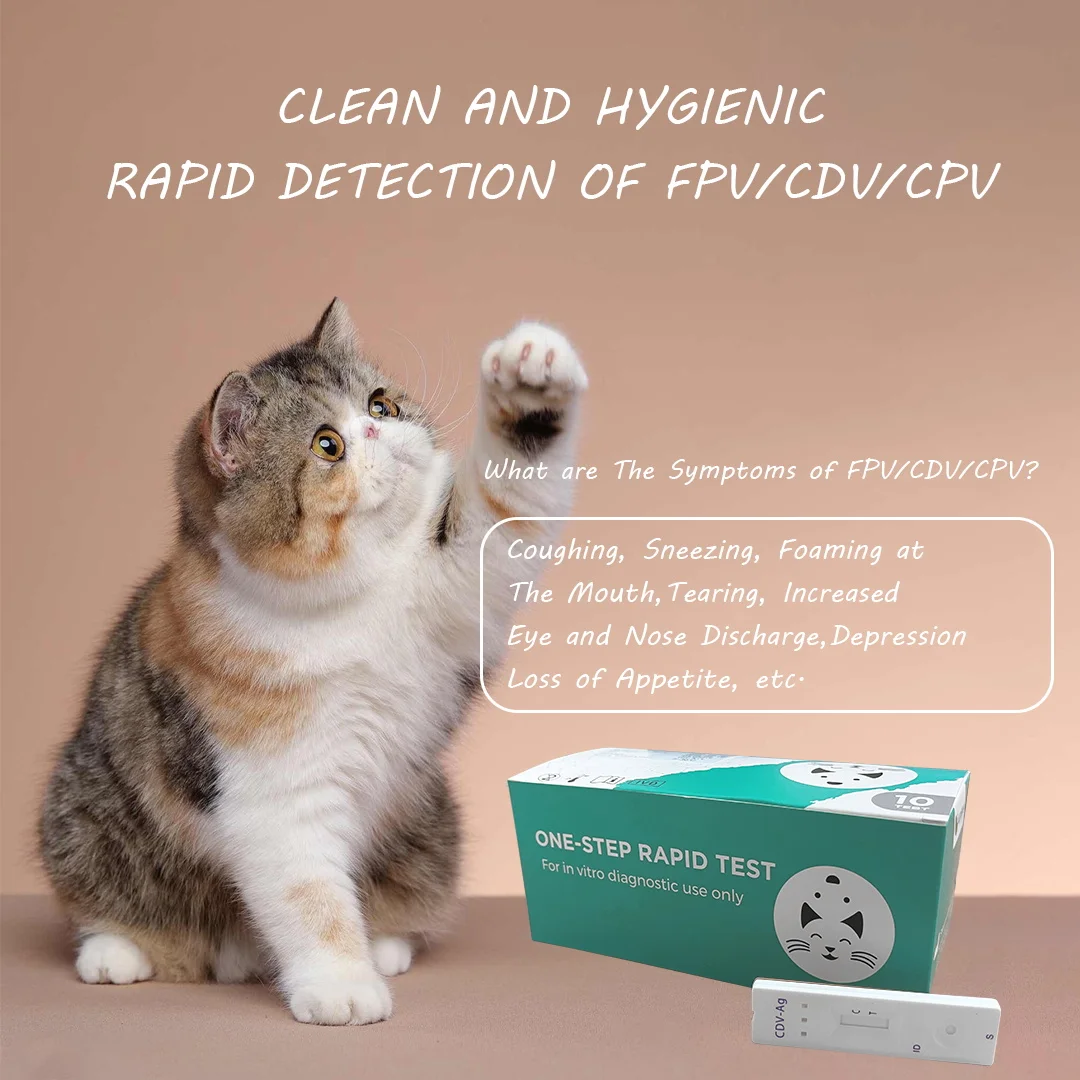 Dog Canine Ehrlichia Anaplasma Test Kit Heartworm Prevention For Dogs Ehrlichia Anaplasma Heartworm Combo Antibody Rapid