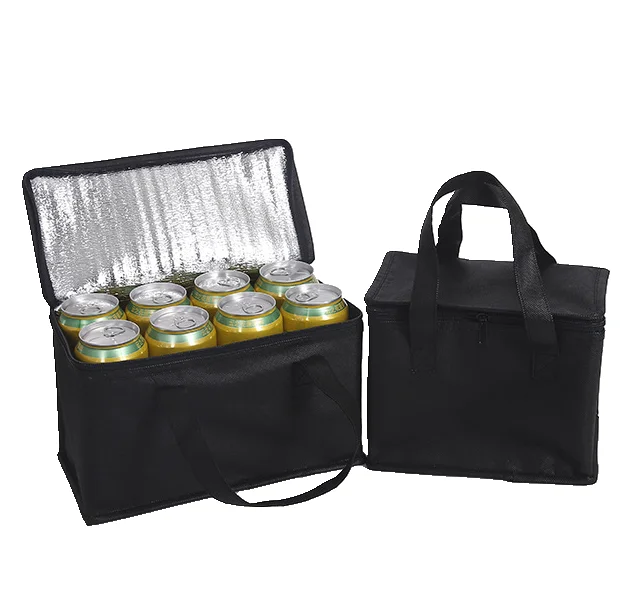 Factory direct wholesale latest design vaccine beach cooler bag,picnic bag cooler