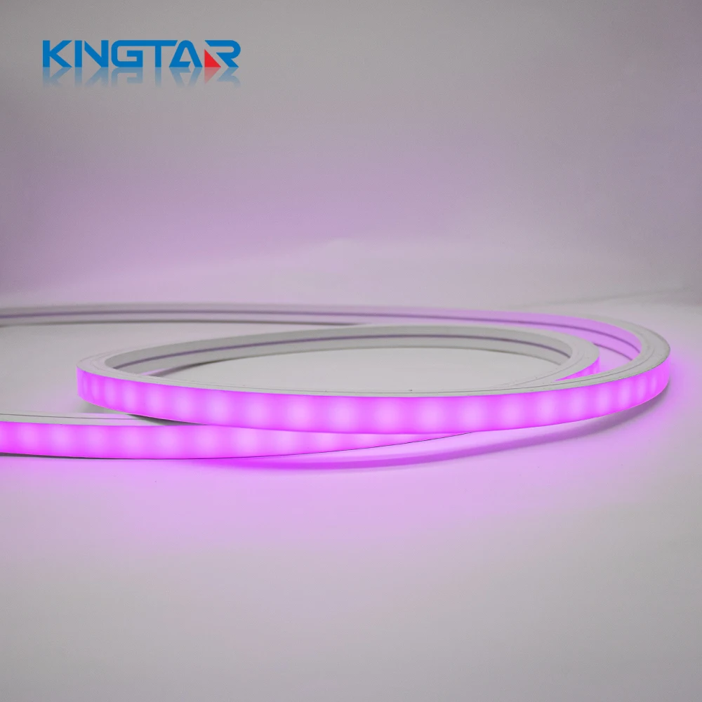 LED Neon Flex12V Flxe Light 16*16mm Size Colorful Indoor/Outdoor Decoration Landscape 5m Length