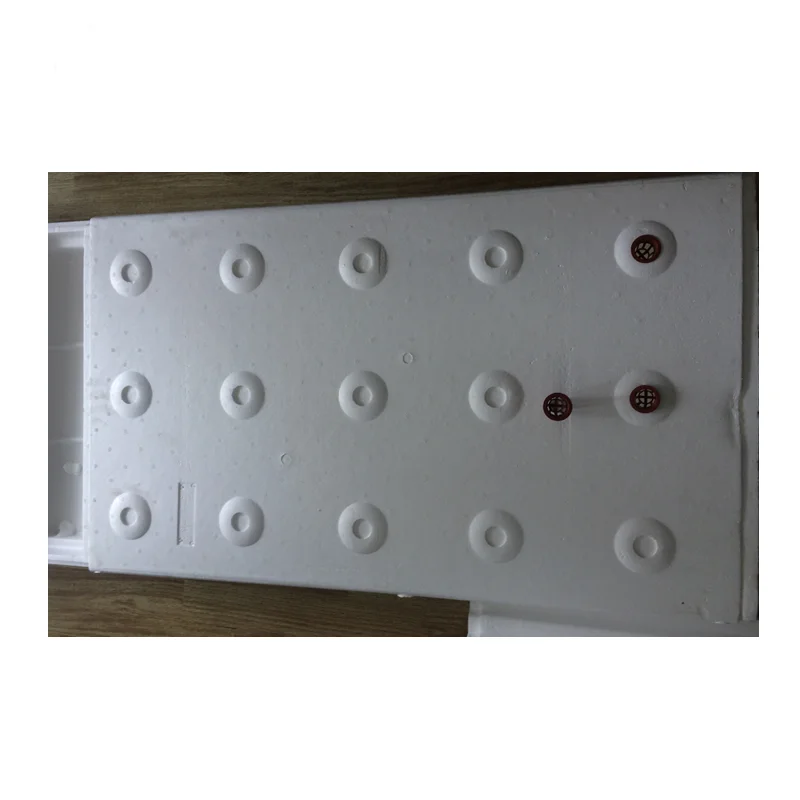 Greenhouse Soilless Planting DFT Hydroponics Growing System Aquaponics Farm