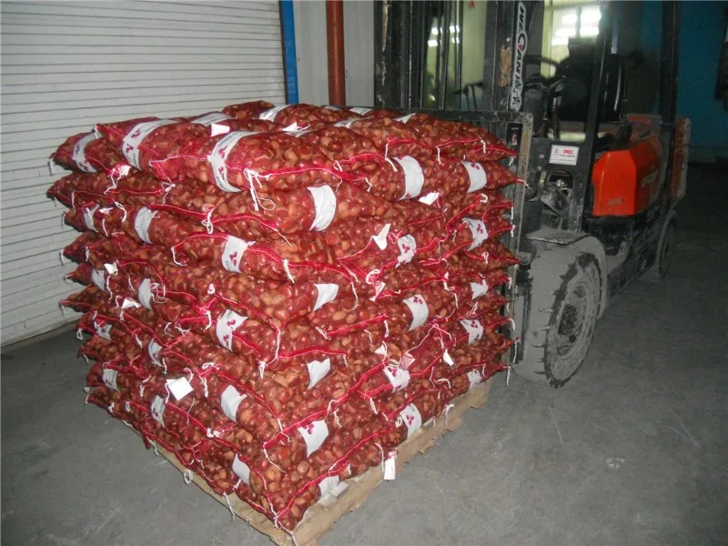 Best Chinese New Crop fresh organic Bulk Fresh Chestnut supplier chinese food wholesale frozen raw food
