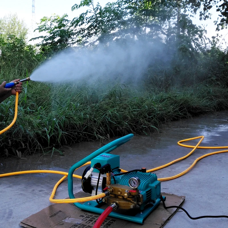 Electric Sprayer 48V 60V 500W BLDC Motor Agricultural Plunger Pump Sprayer