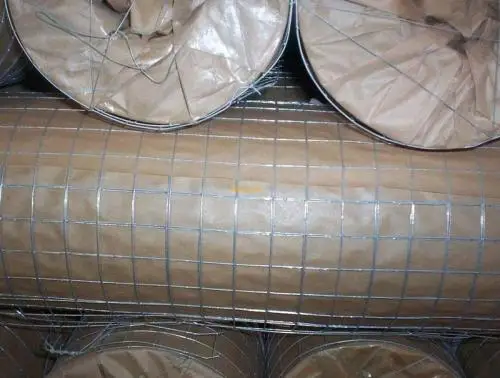 10 gauge pvc coated / galvanized bird cage welded wire mesh roll