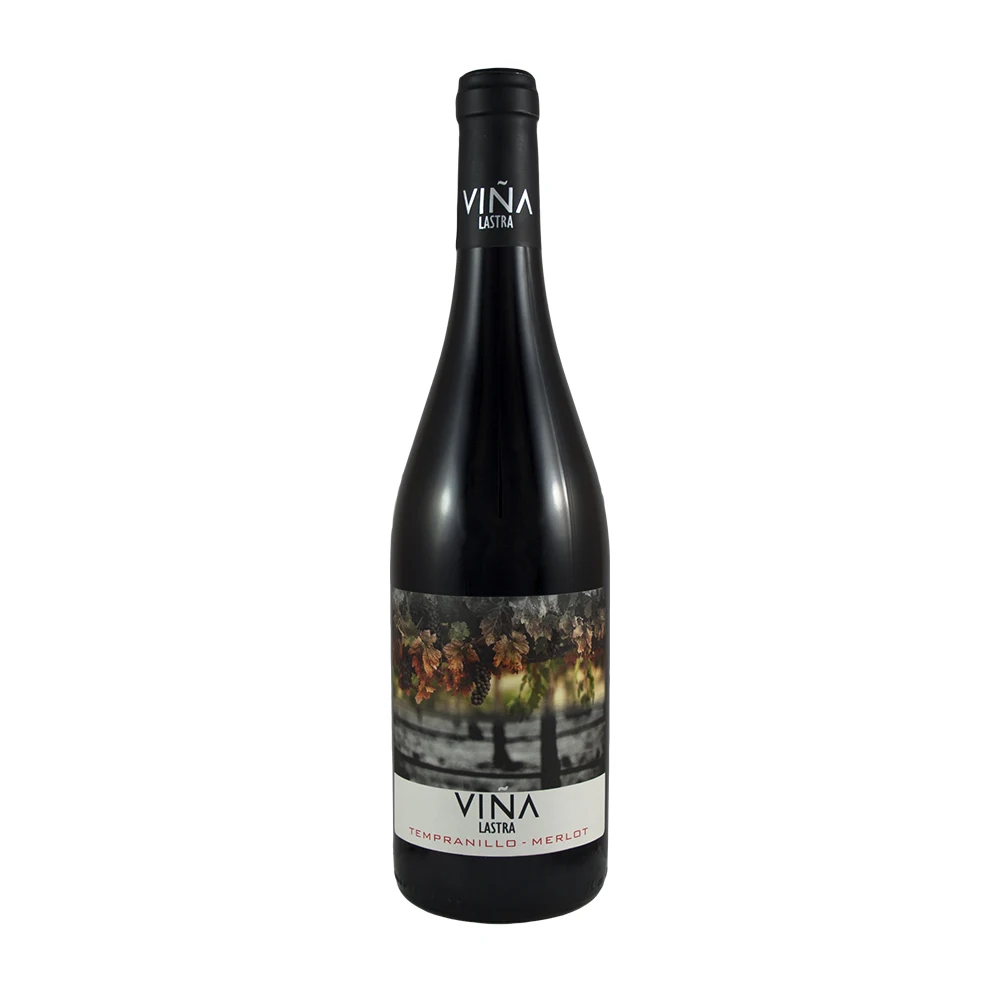 Высококачественное Испанское Красное вино Vina Lastra Select