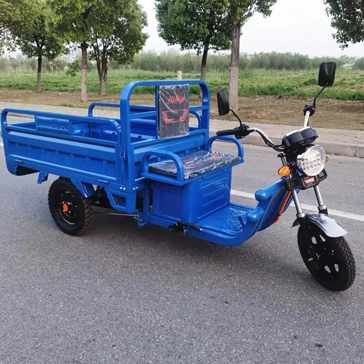 Wholesale 800W 1000W 1200W 3-Wheel Cargo Electric Cargo Tricycles Motorcycle for Adults