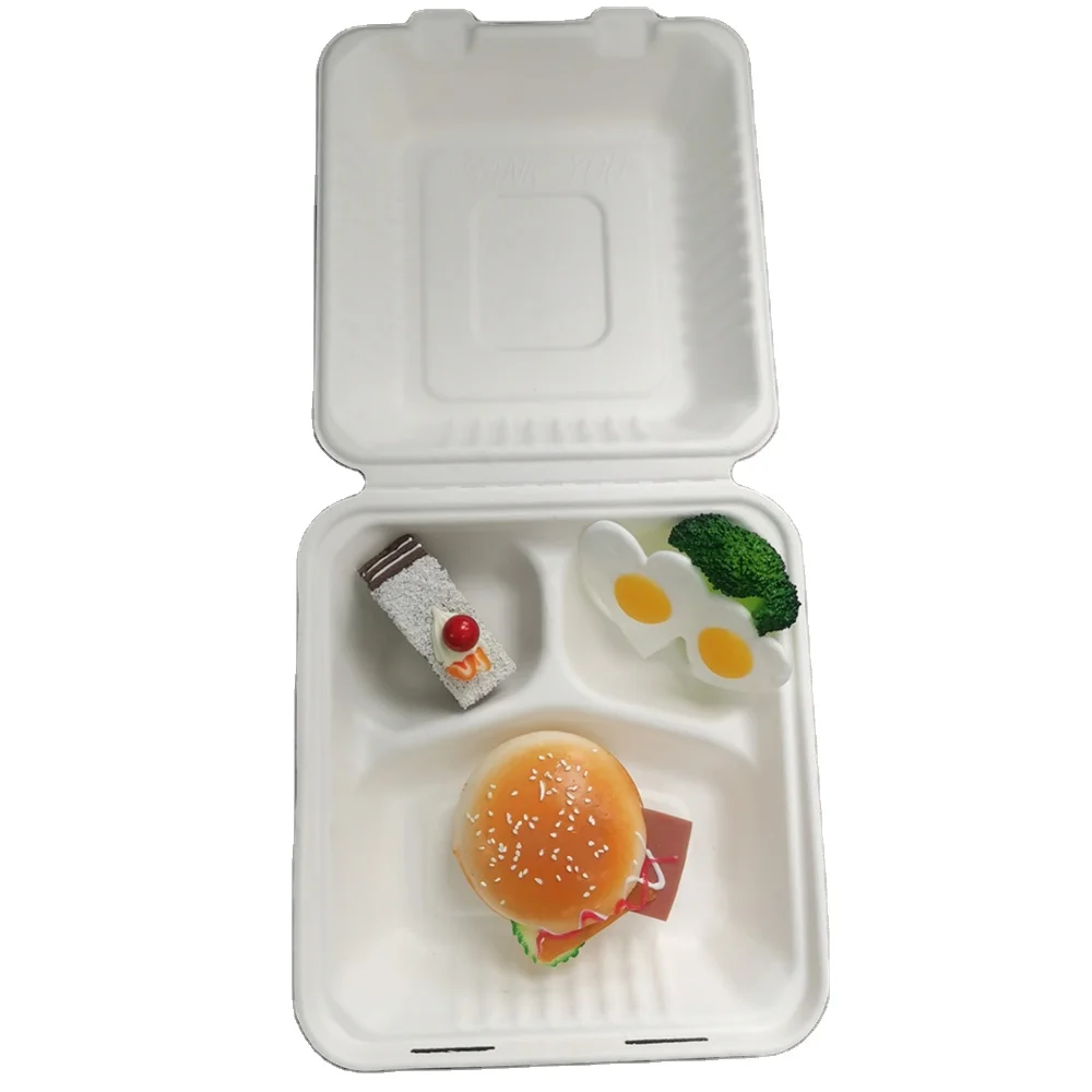 3 Compartment Clamshell 8 inch 9 inch Lunch Box Biodegradable Sugarcane Bagasse Tableware Lunchbox Food Containers