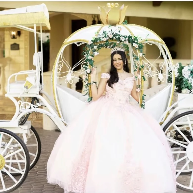 Beautiful Cinderella Pumpkin Horse Carriage/Wedding carriage/electric horseless carriage