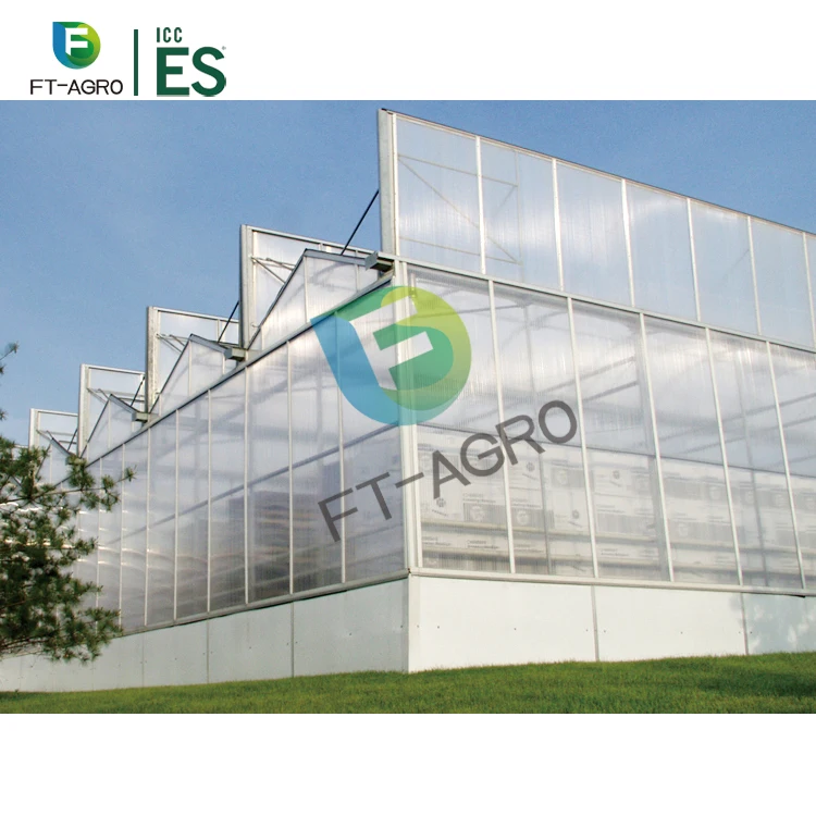 PC sheet Greenhouse with  other equipment