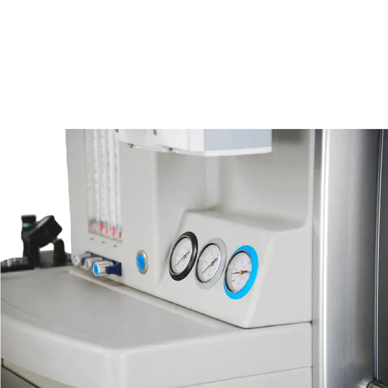 Advanced Anesthesia Machine Anesthesia LED Display Portable Anesthesia Machine For Veterinary Use