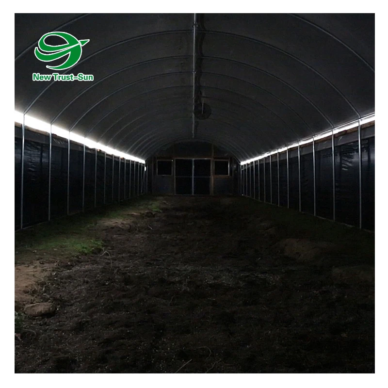 
Hot Sales Agricultural single-span tunnel film industrial greenhouse with blackout shading system 