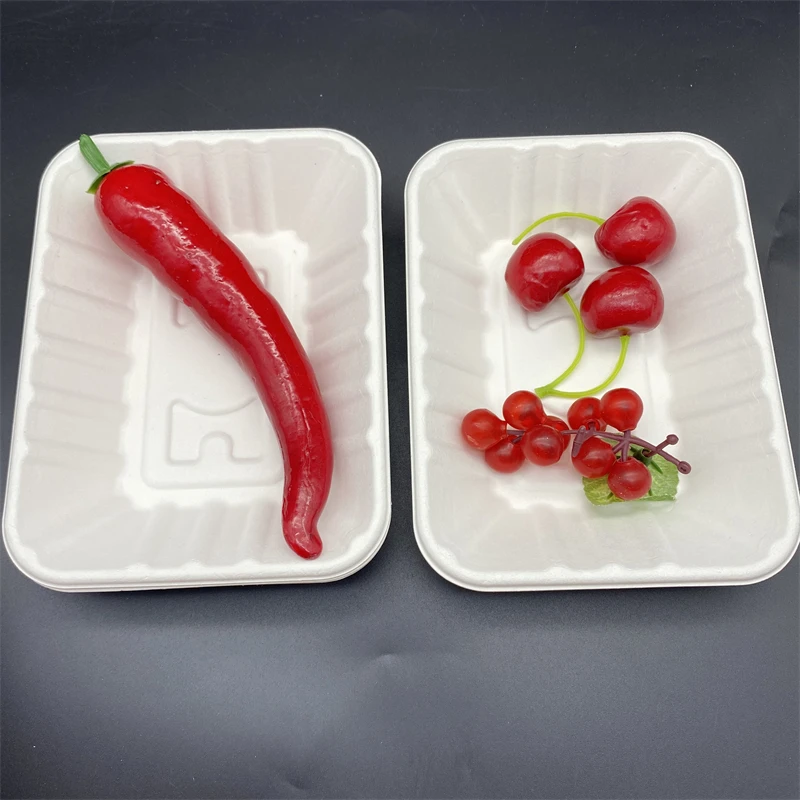Biodegradable Paper Pulp Fruit Meat Tray Rectangle Square Disposable Food Tray