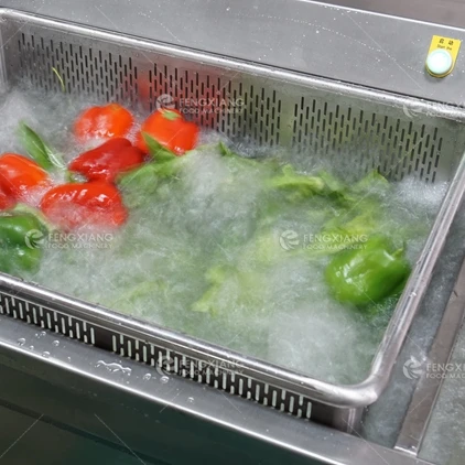 Refrigeration Vegetable Seafood Meat Bubble Washing Thawing Machine With Cooling Water