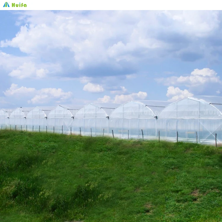 40x40m Agriculture Green House Sawtooth Poly Tunnel Hothouse Tropical Greenhouse Serre Agricole