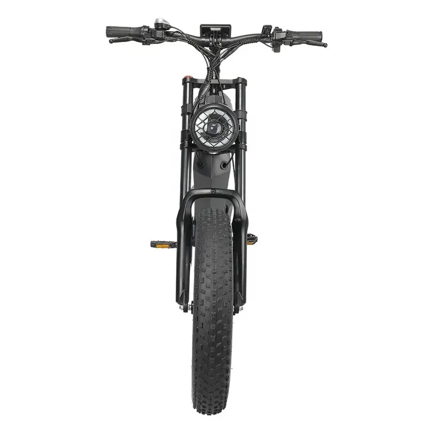 2024 New Model 48V 750W High Power Extreme Cross Electric Mountain Bike With Hydraulic Disc Brake 20 Inch Electric Fat Tire Bike