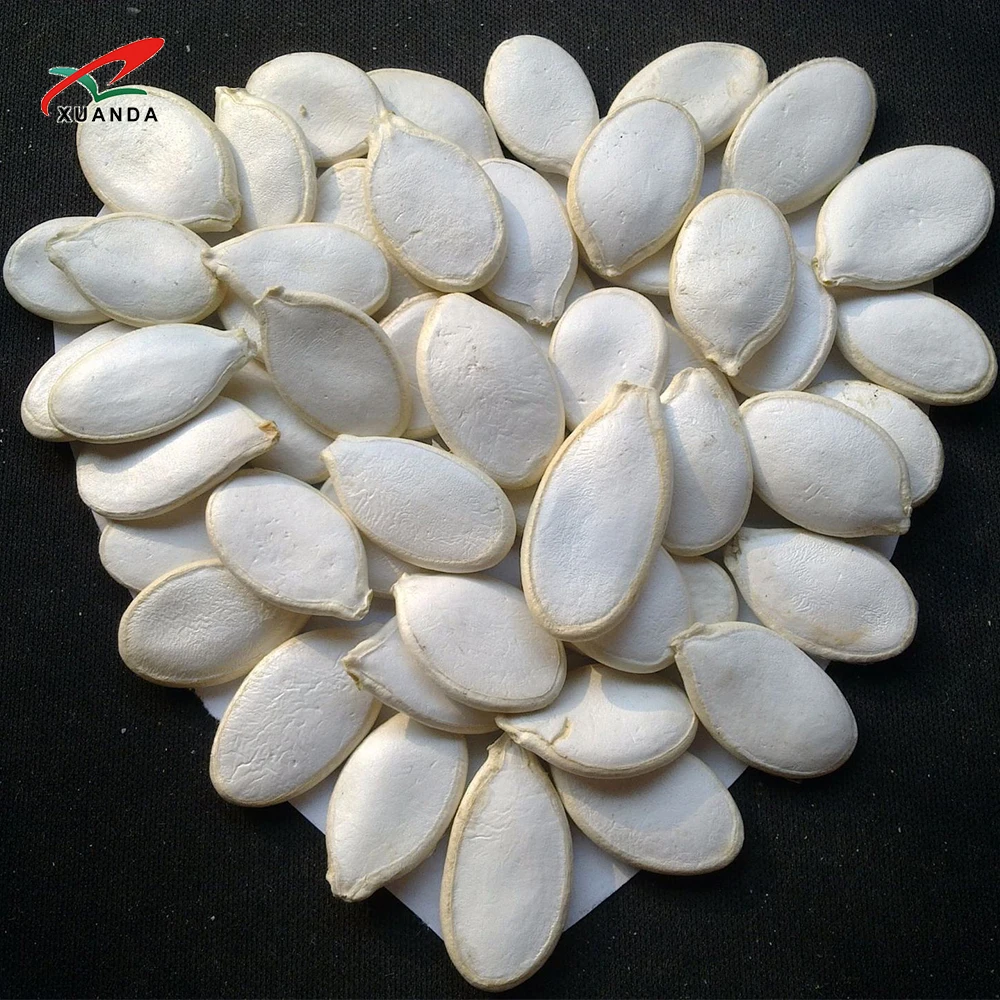 Fresh Snow White Pumpkin Seeds High Quality Snacks Dried Food Shine Skin Pumpkin Seeds Kernel Price Raw 20/25 Kg PP Bag