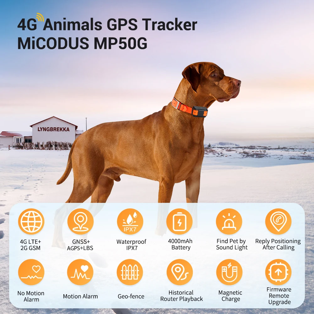 Micodus New MP50G Hunting Dog Cattle Horse Motion Monitoring Real Time 4G Tracking Device Animal Smart Gps Tracker Locator Pet