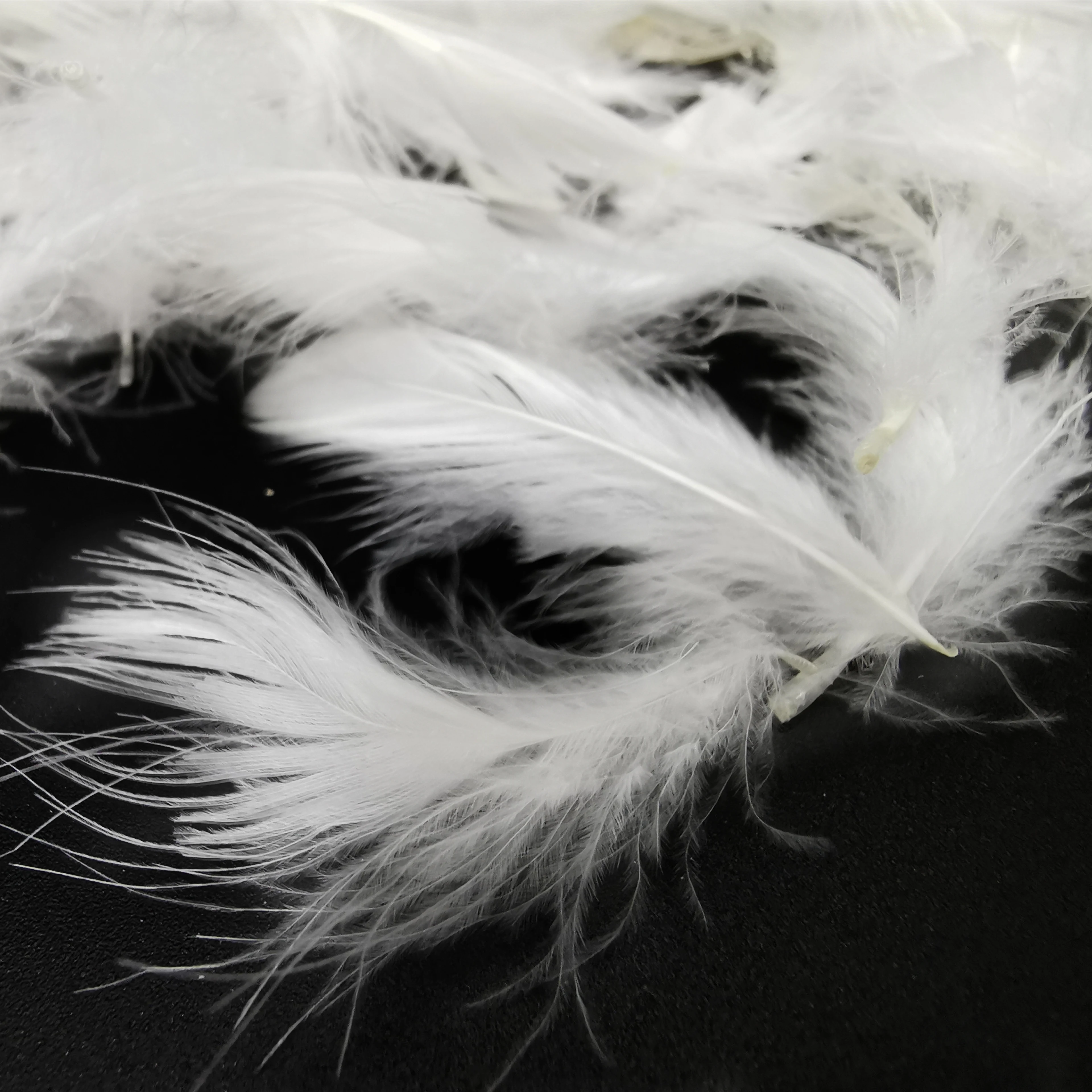 
Goose feather / White Goose Feather/Natural raw 95% White Washed Goose Duck Down Feather 