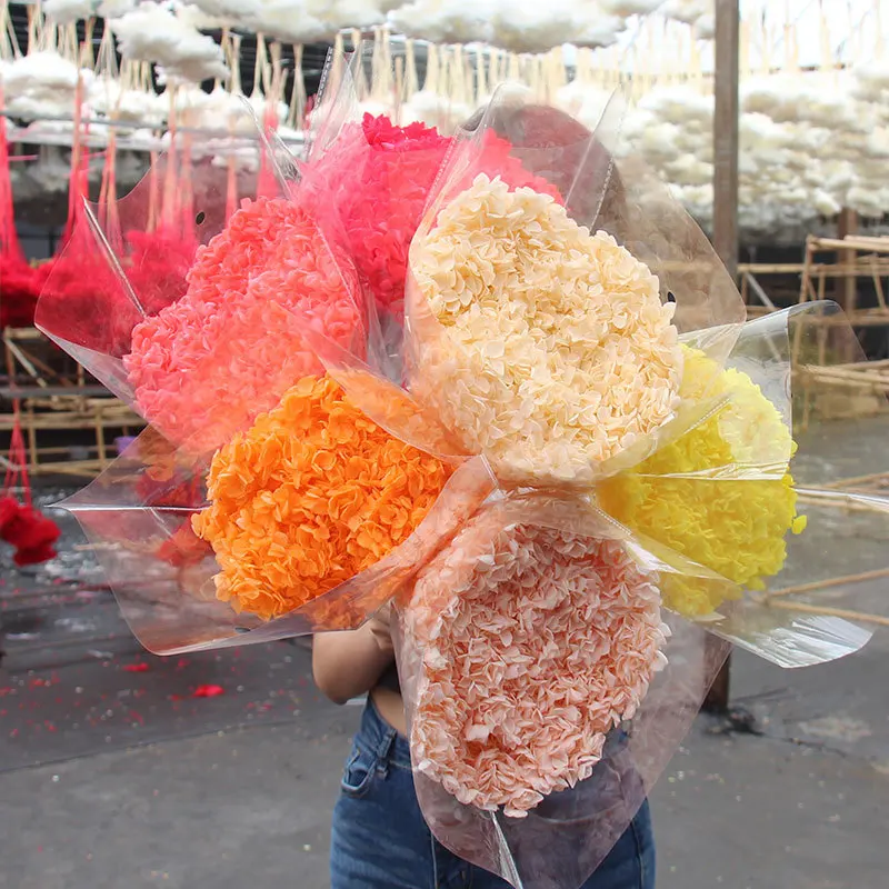 DIY Material Preserved Fresh Anna hydrangea Flower Long Lasting hydrangea