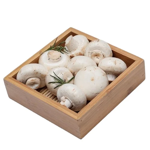 Wholesale frozen mushroom IQF frozen agaricus bisporus sliced mushroom price