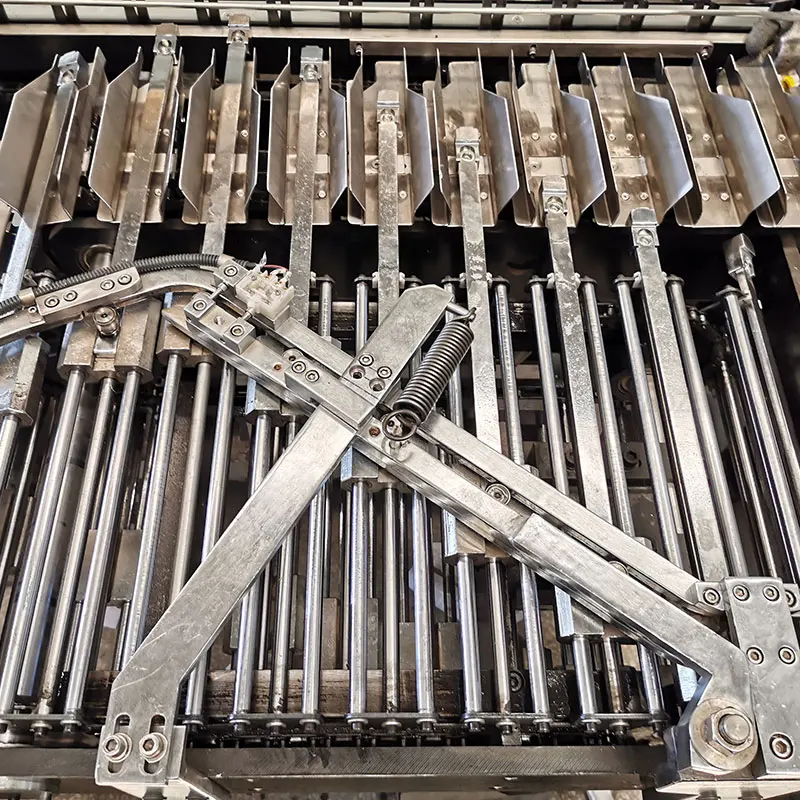 PLC Control Fully Automatic Small Carton Packing Machine Price