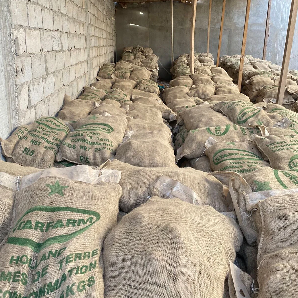 Fresh potato from Holland The Netherlands for wholesale private label 35 / 100mm 5 - 25kg bags best quality