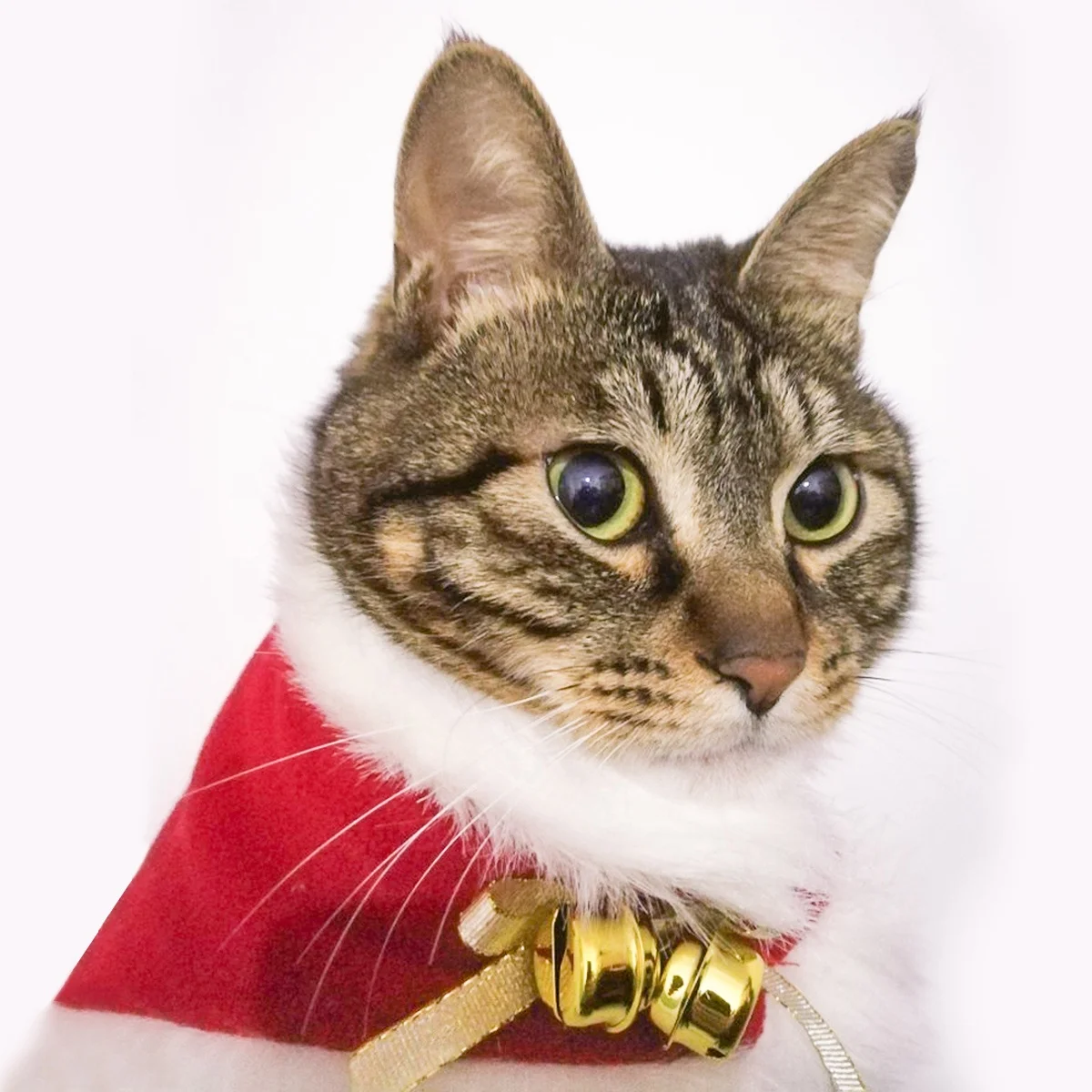 Christmas Pet Christmas Shawl Suit with Hat Dog Velvet Cloak Cat Festival Apparel Accessory Costume Pet Party Cosplay Clothes