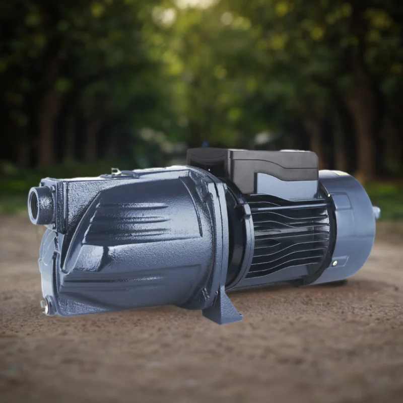 1inch 220v 0.75hp High Quality Electric Irrigation Self-Priming Surface Jet Water Pump