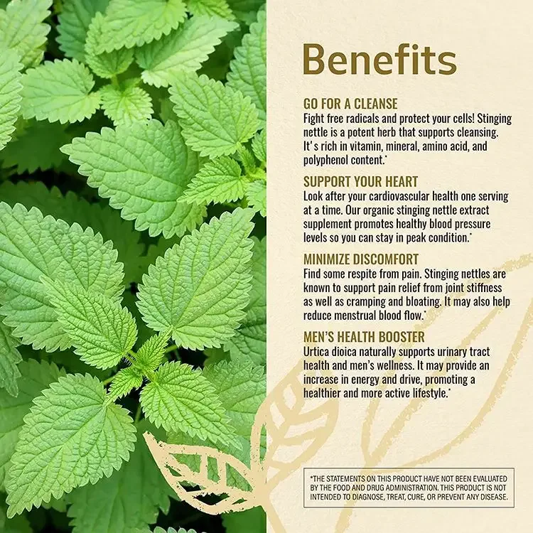 Wholesale Organic Stinging Nette Capsules 1200mg Urtica Extract Supplement