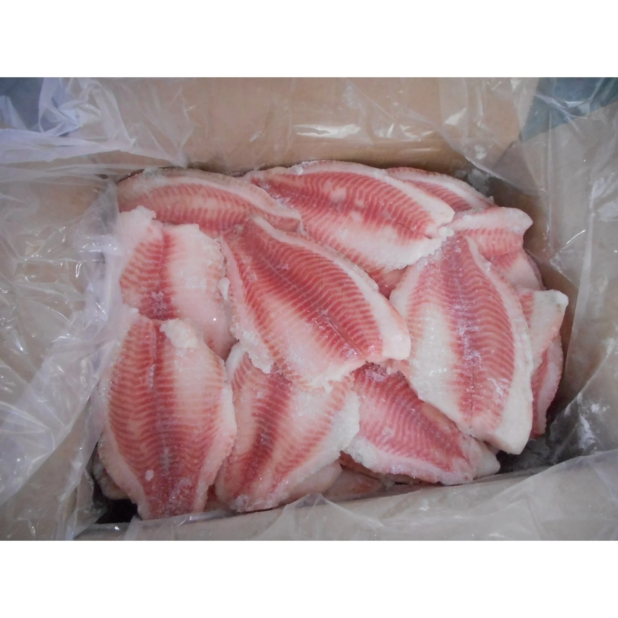 Fresh Frozen Hake Whole Fish, Frozen Hake Fish Fillet Hake