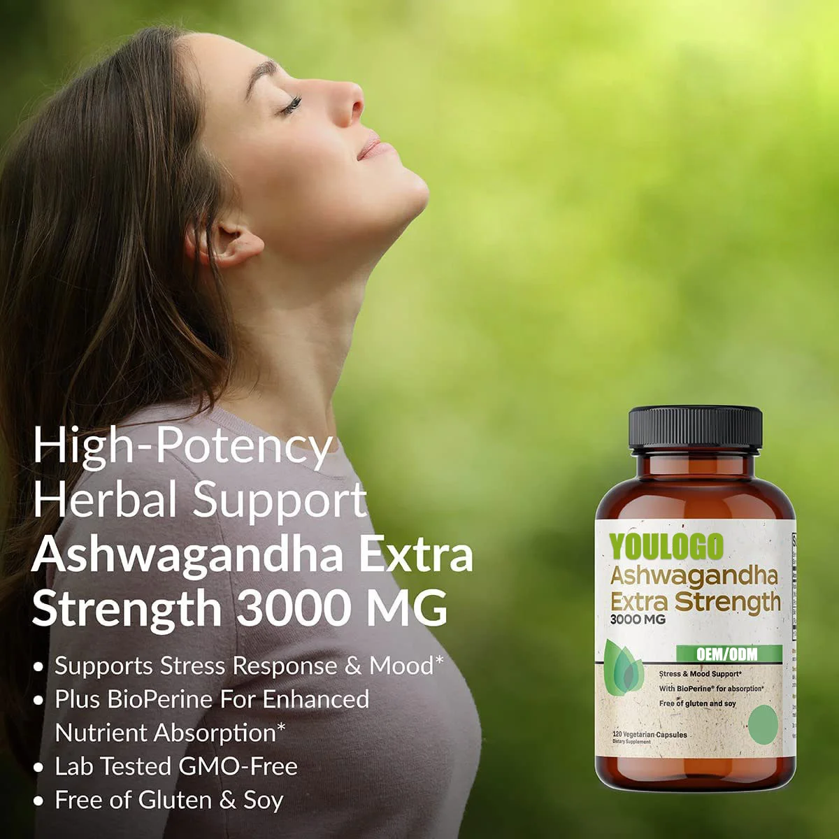 Factory Direct Sale ashwagandha capsules ksm-66  supplements
