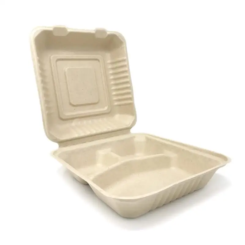 Compostable Take Out Bagasse Food Container