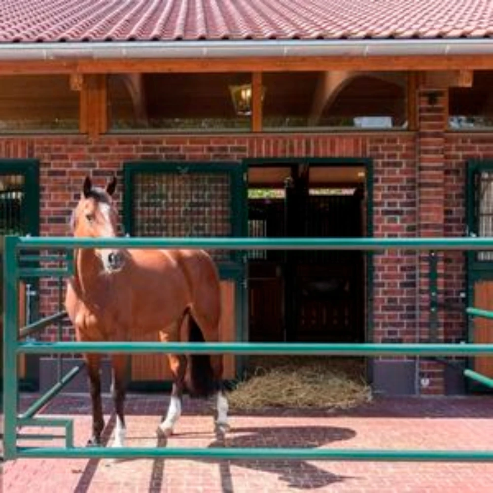 High Quality Welded Galvanized Utility Demountable horse round yard