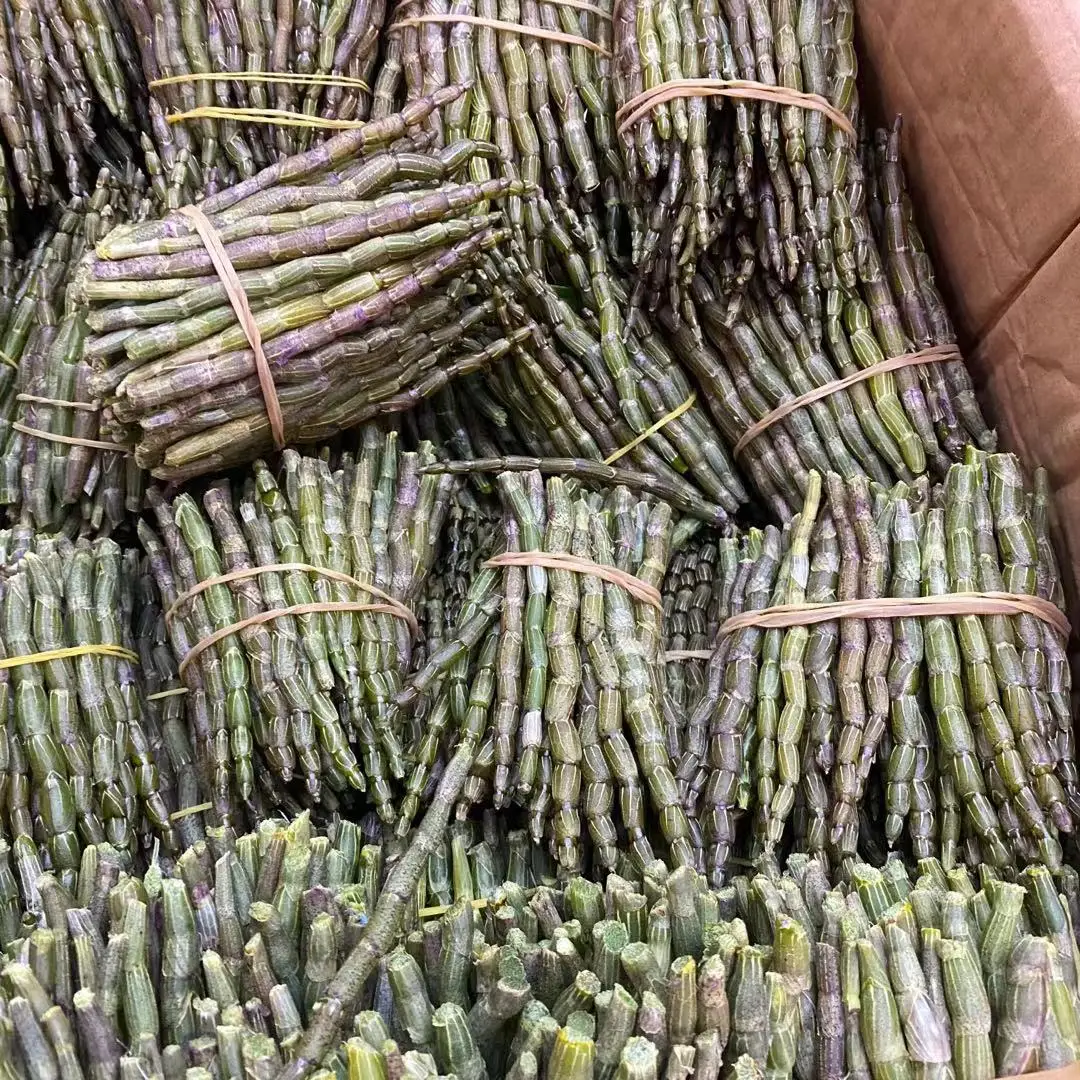 Anhui Factory Supply Dried Dendrobii Caulis Shi Hu Tiao Dendrobium Officinale
