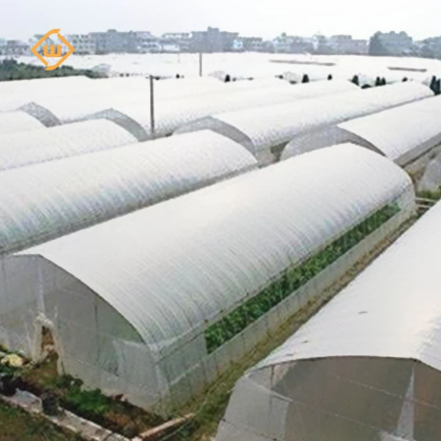 Best-selling galvanized steel structure ventilation system single-span greenhouse for growing tomatoes