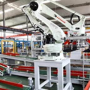 High Quality Custom Carton Box Low Level Robotic Palletizer Factory in China