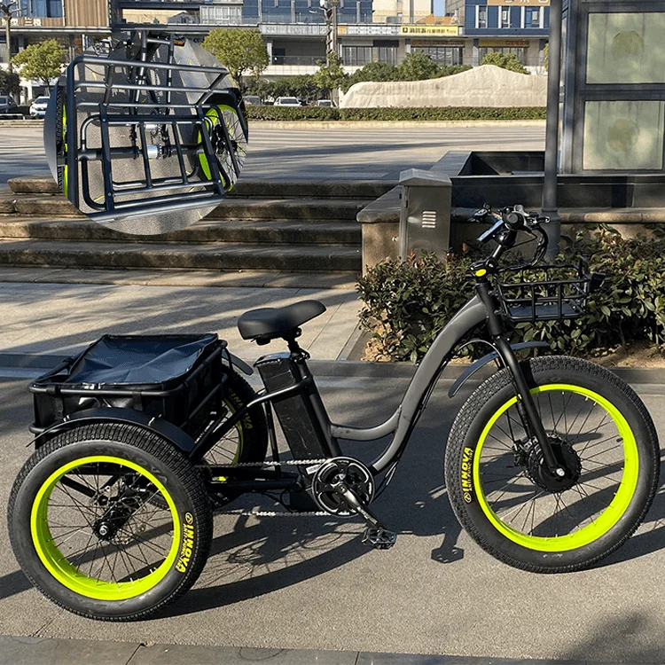 200Kgs Load 3 Wheel Fat Tire Electric Cargo Bike Tricycle Trike 48V 500W 750W 24 Inch Electric Bicycle Electric Cargo Bike