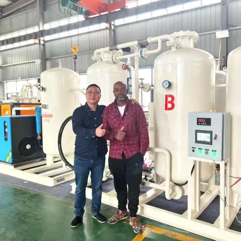 NUZHUO Modern Production Line Psa 20Nm3 30Nm3 100Nm3 Oxygen Plant for Cylinder Filling Low Energy Consumption
