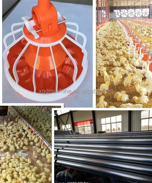 Galvanized Pipe For Poultry Feeding System Large Diameter Galvanized Steel Culvert Pipe