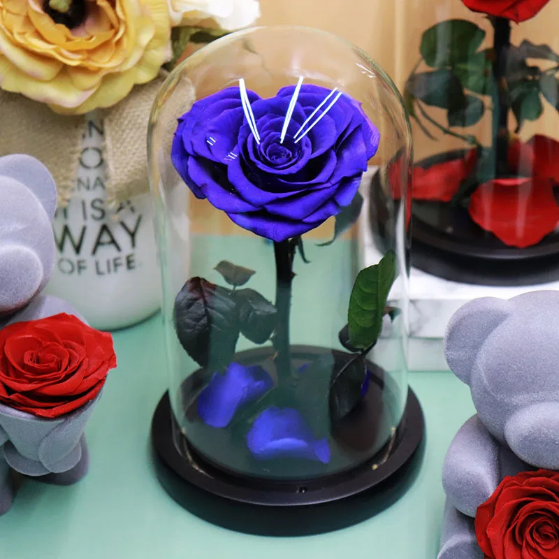 Preserved Rose Red Rose in Glass Dome Real Roses Preserved Flowers Valentines Day Gifts long lasting in flower box