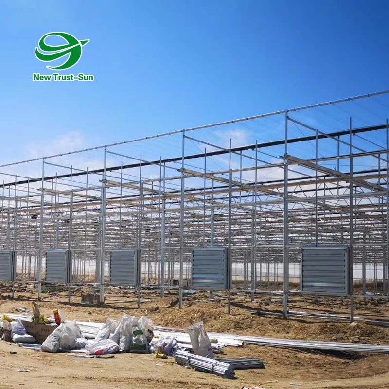 
Greenhouse kits material steel frames used for agriculture from green house frames structure Manufacture 