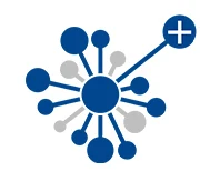 Food Grade Alpha Amylase Enzyme GMP stander