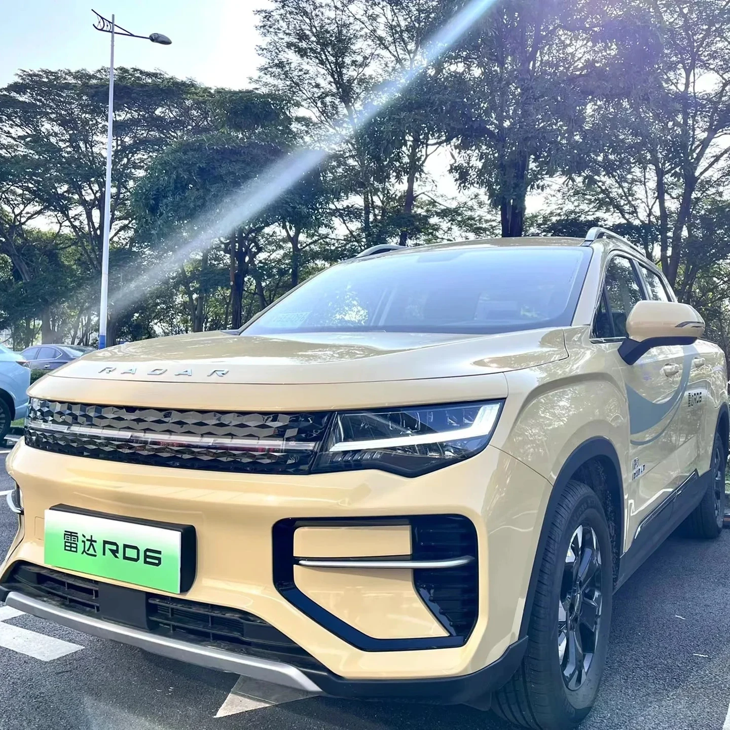 Geely Radar RD6 2024 electric vehicle High Quality New Energy Electric Pickup Truck Long Range 185km/h Fast Speed radar rd 6 ev
