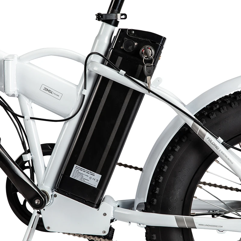 250W EN15194 Electric Folding Bike Other Electric Bike Fat Tire Electric Bicycle