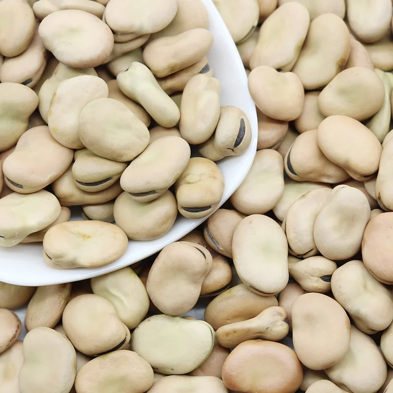 Коричневые Широкие бобы, сушеные высококачественные Широкие бобы зеленого цвета